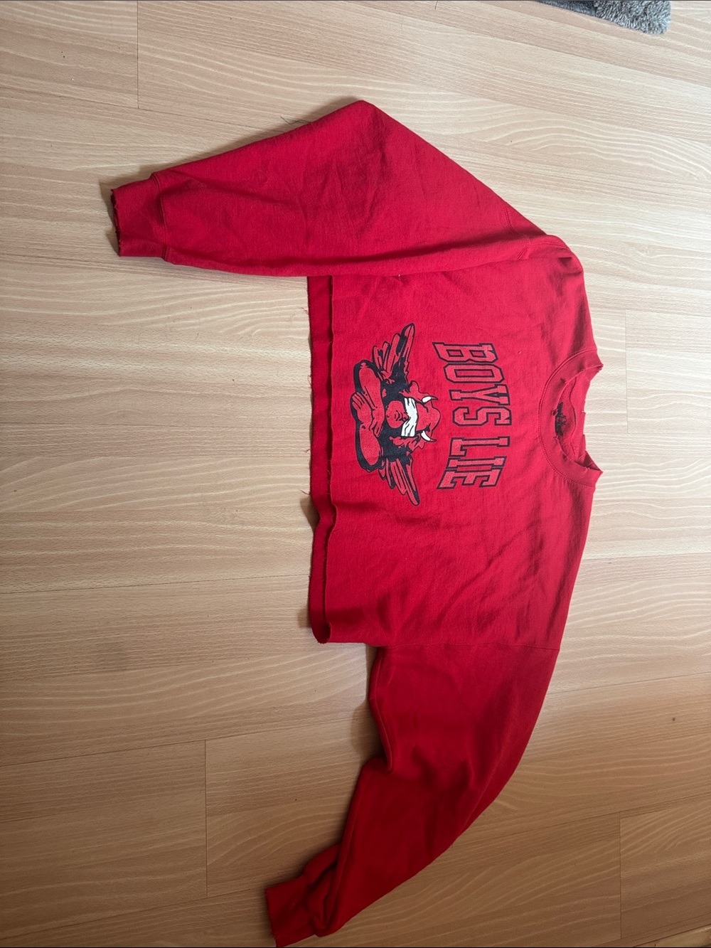 Boys Lie Red Graphic Cropped  Sweatshirt